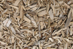 biomass boilers Bearsden